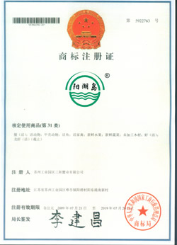 �̘�(bi��o)ע��(c��)�C