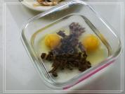 з�Sɽ��������������