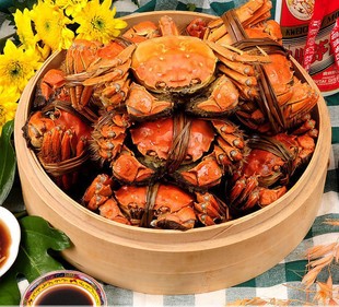 ��ꖺ��u�����lз