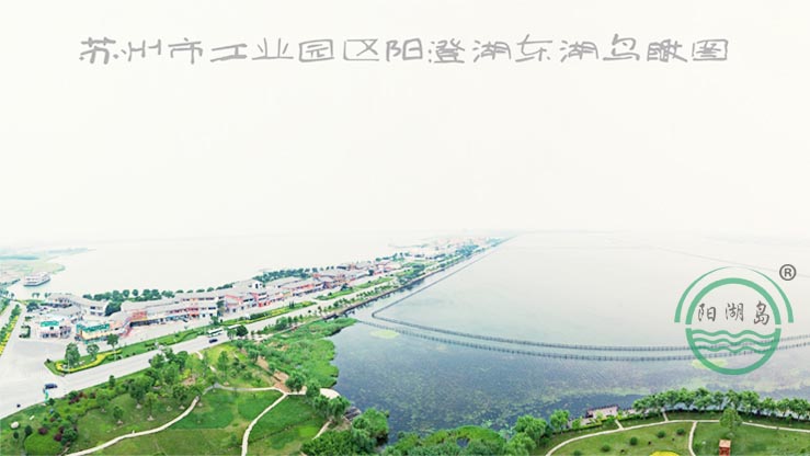 ���(y��ng)�B(y��ng)ֳ���ظ�D